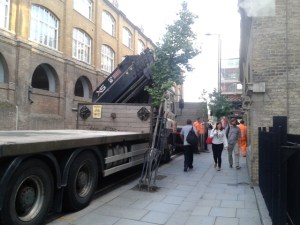 York Way tree hit by lorry
