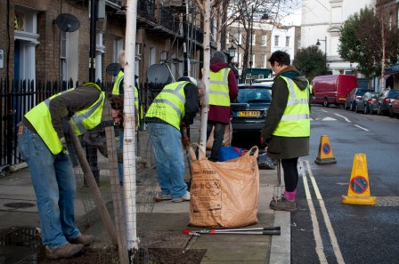 King's Cross Community Projects street tree maintenance day January 2014