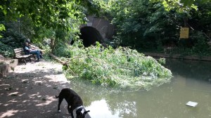 Fallen tree blocks Islington Tunnel on Regent's Canal