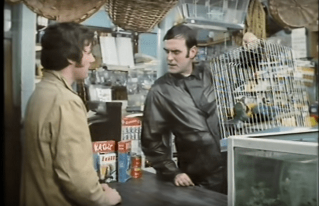 cally pets dead parrot2