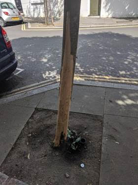 Northdown St – third tree destroyed.