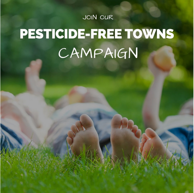 Image stating "Join our pesticide free towns campaign". By the Pesticide Action Network.