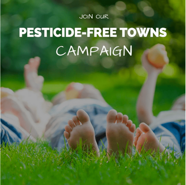 Image stating "Join our pesticide free towns campaign". By the Pesticide Action Network.